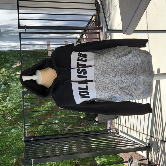 Hollister Logo Hoodie - Picture 1 of 9